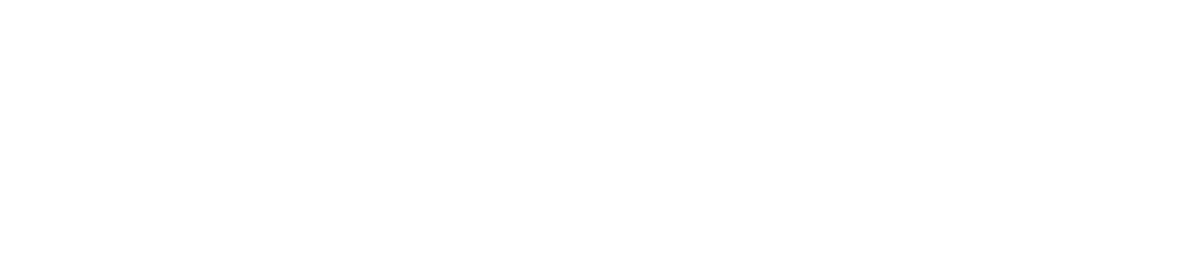 SNF - Angora Institute